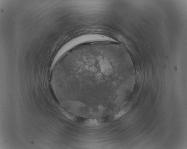 X0000068890381200605122040