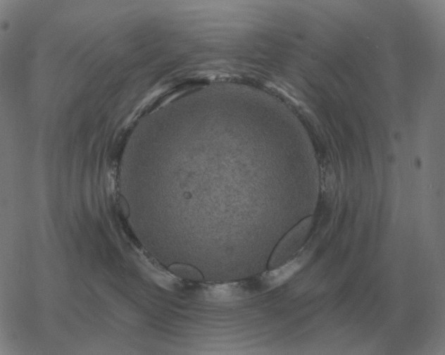 X0000068890382200605122040