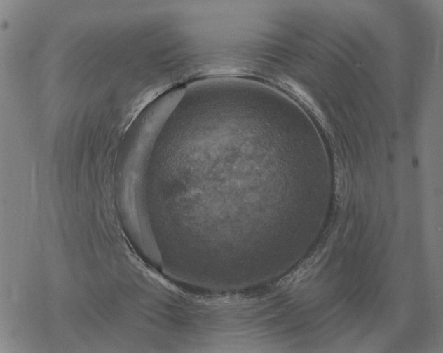 X0000068890385200605122039