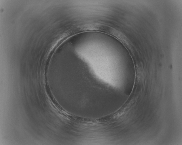 X0000068890386200605122039