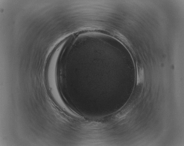 X0000068890387200605122039