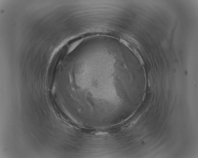 X0000068890388200605122039