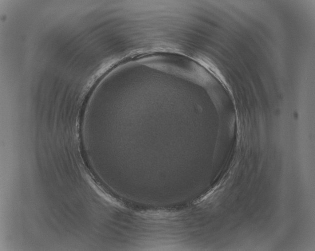 X0000068890389200605122039