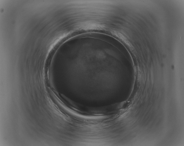 X0000068890391200605122039