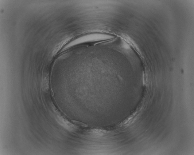 X0000068890393200605122039