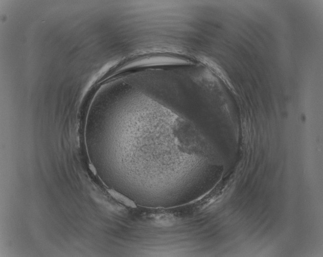 X0000068890395200605122039