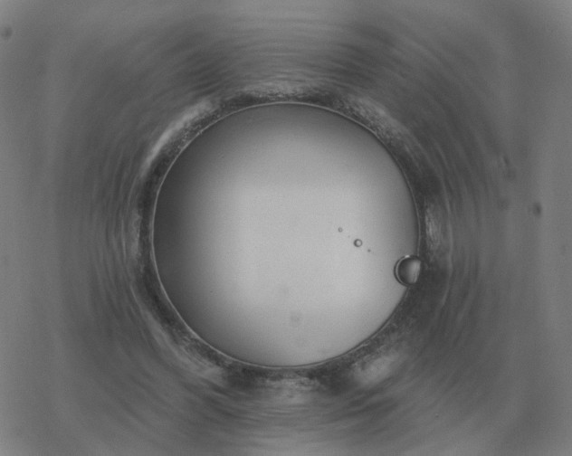 X0000068890396200605122039