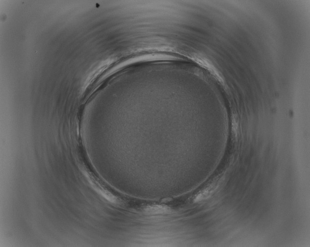 X0000068890397200605122039