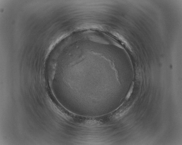 X0000068890399200605122039