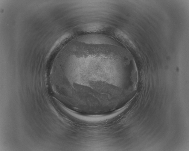 X0000068890400200605122039