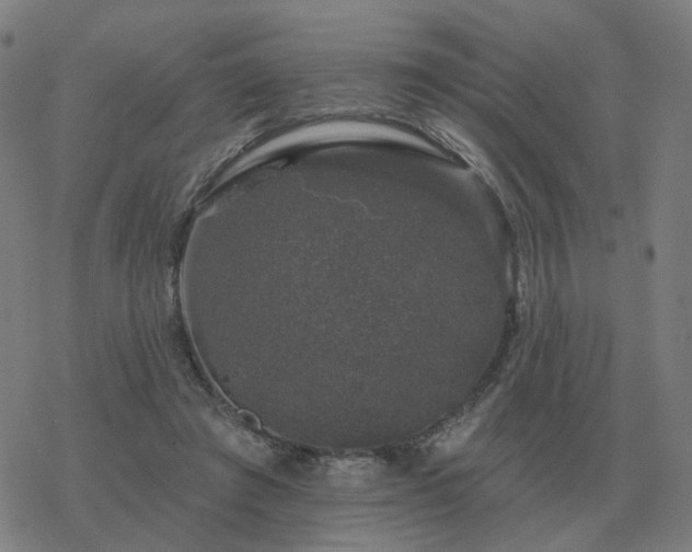 X0000068890401200605122039