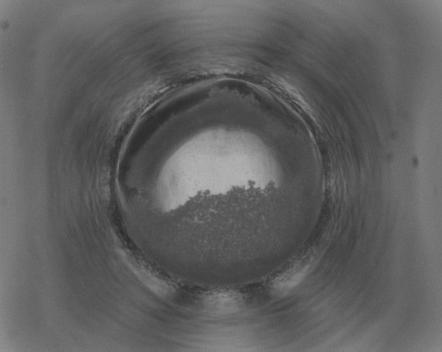 X0000068890402200605122039