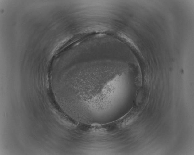 X0000068890403200605122039