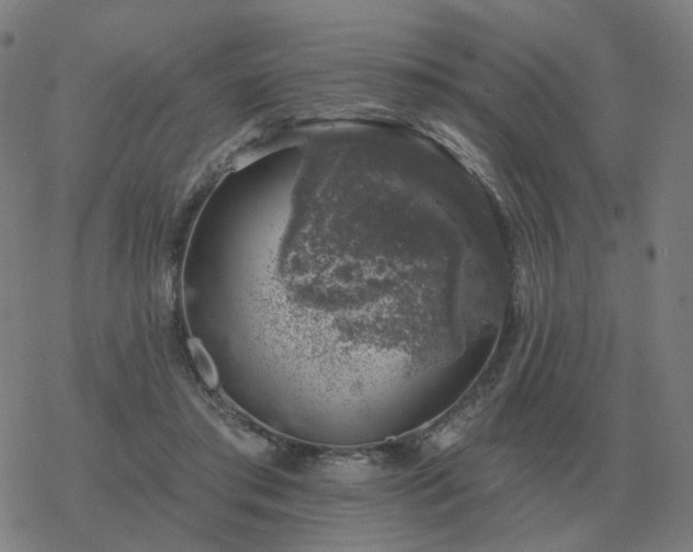 X0000068890405200605122039