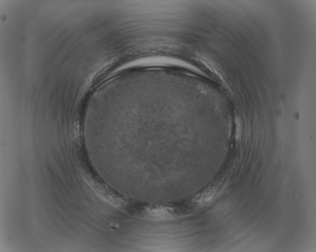 X0000068890407200605122039