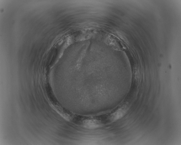 X0000068890408200605122039