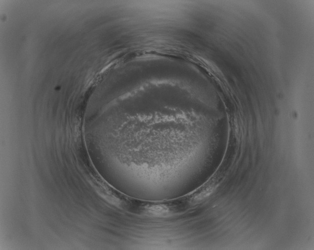 X0000068890409200605122039