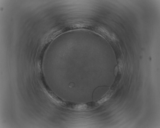 X0000068890410200605122039