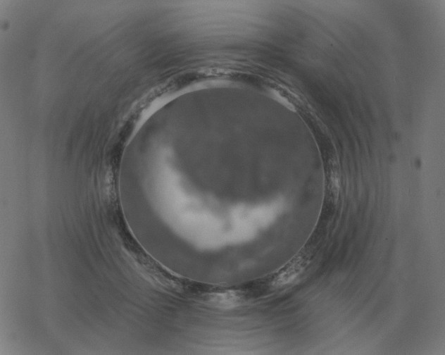 X0000068890411200605122039