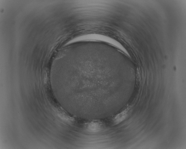 X0000068890412200605122039