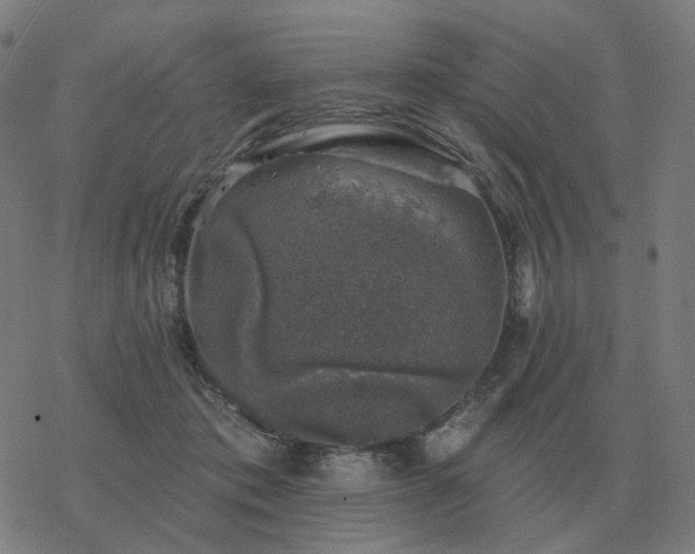 X0000068890413200605122039