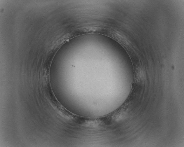 X0000068890414200605122039