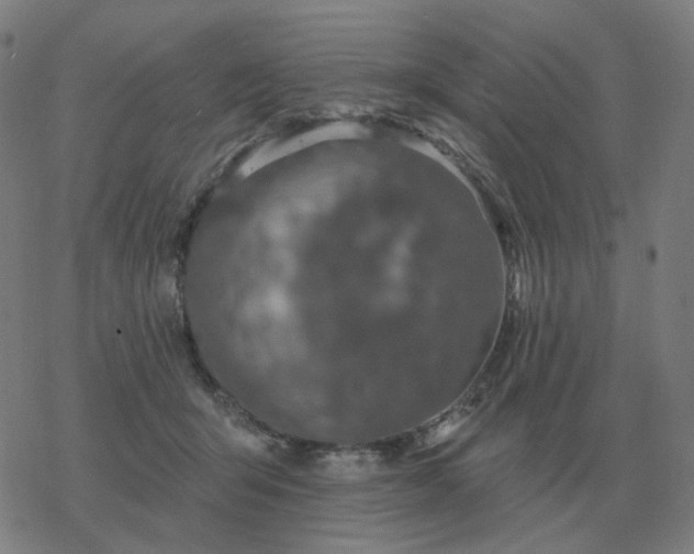 X0000068890415200605122039