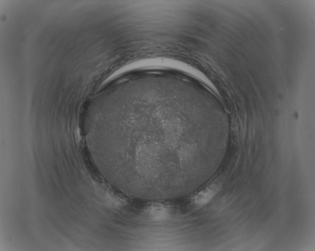 X0000068890416200605122039