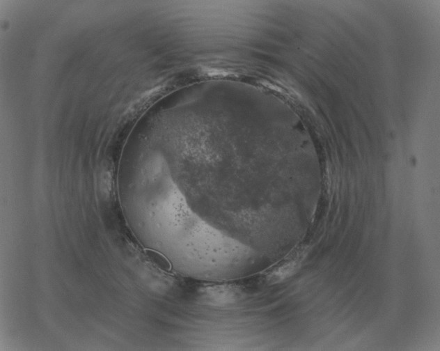 X0000068890417200605122039