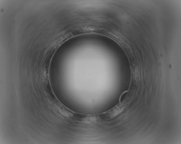 X0000068890418200605122039