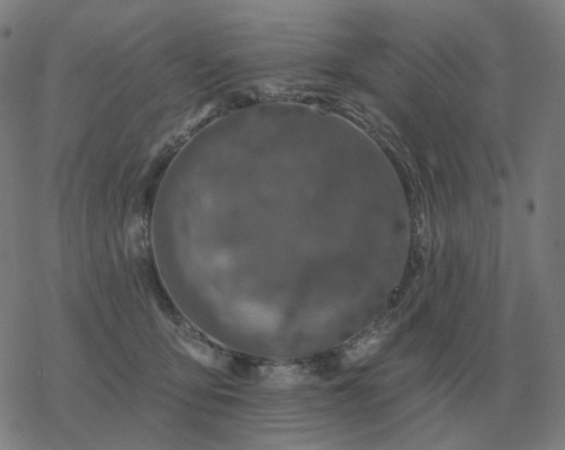 X0000068890419200605122039