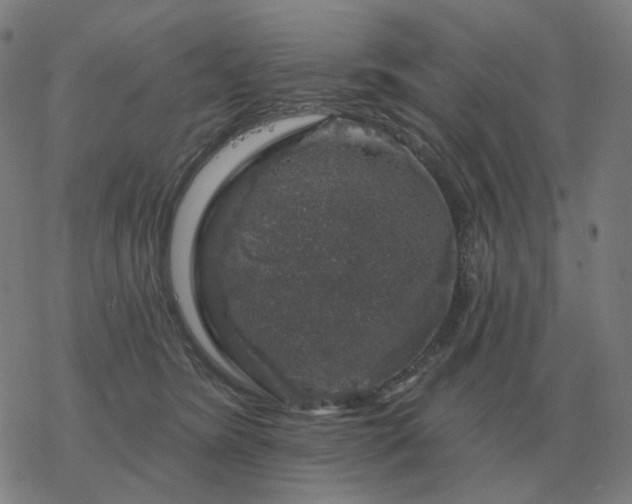 X0000068890420200605122039