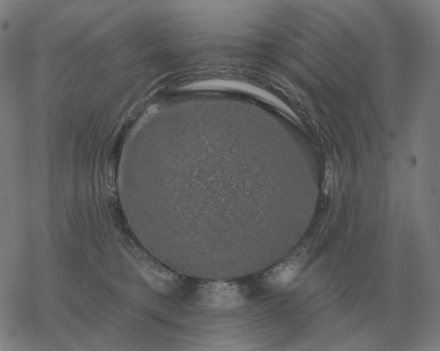 X0000068890421200605122039