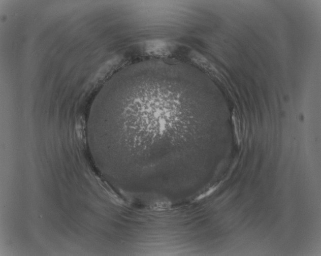 X0000068890424200605122039