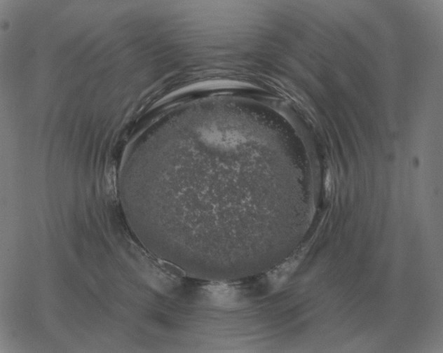 X0000068890425200605122039