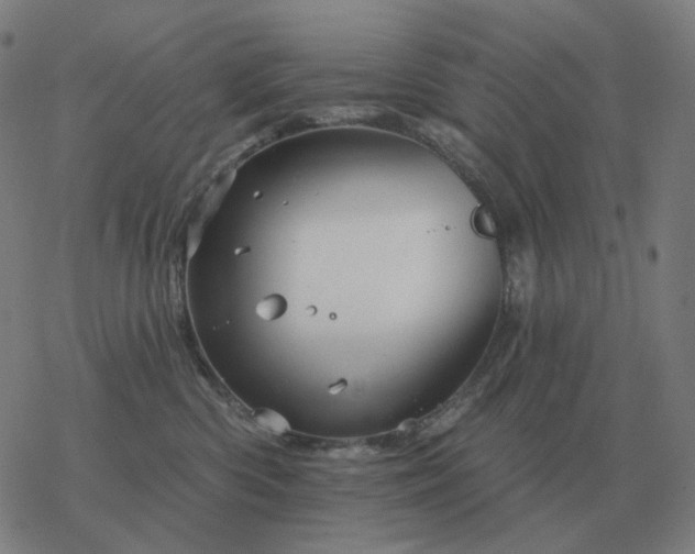 X0000068890426200605122039