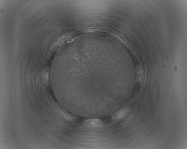 X0000068890427200605122039