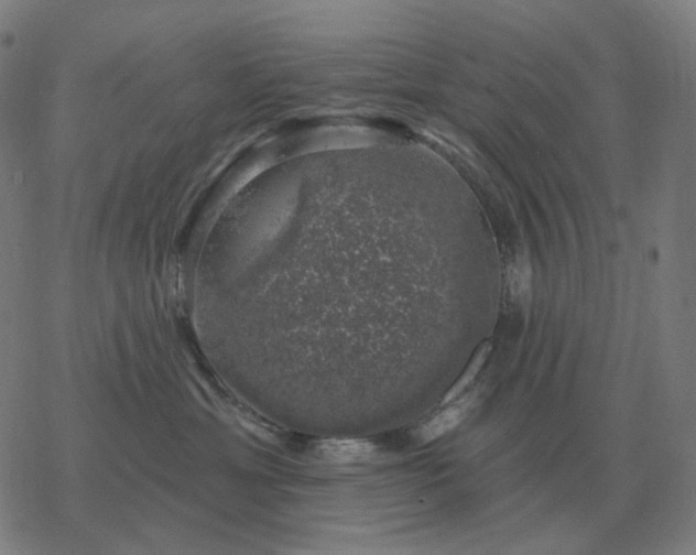 X0000068890429200605122039