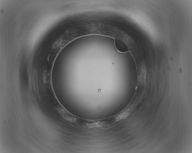 X0000068890430200605122039