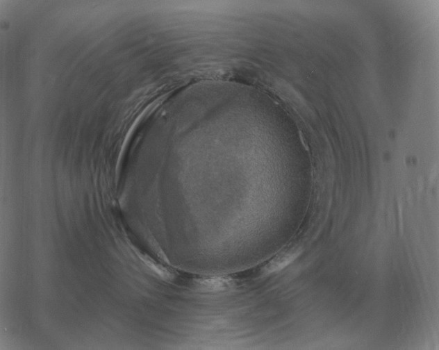 X0000068890432200605122039