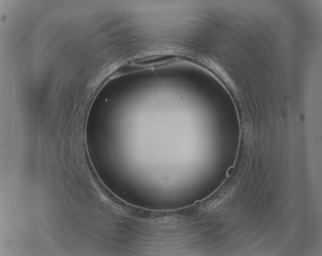 X0000068890433200605122038