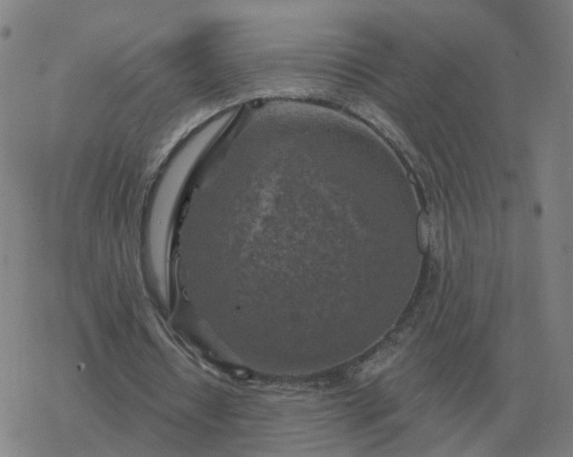 X0000068890434200605122038