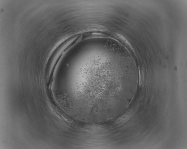 X0000068890435200605122038