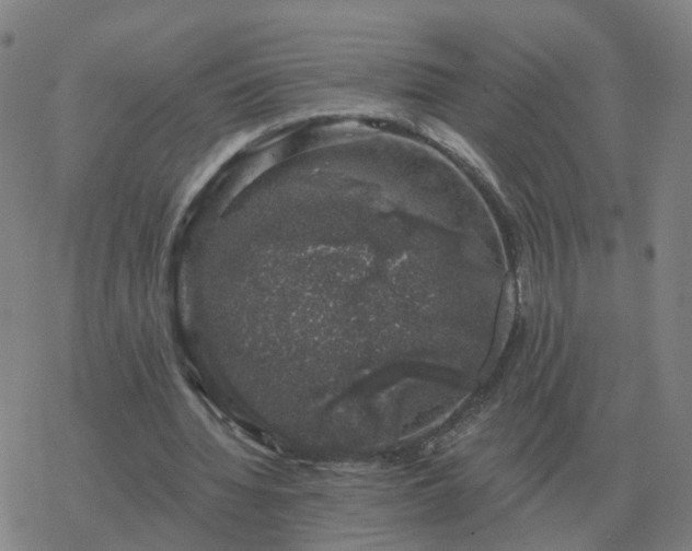 X0000068890436200605122038