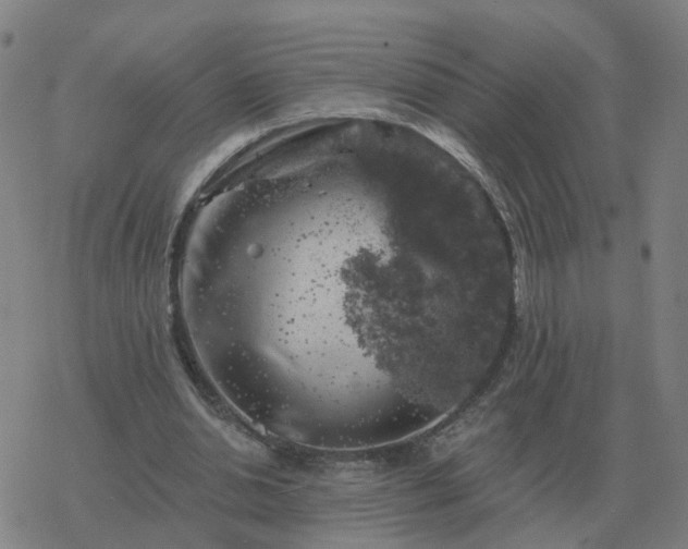 X0000068890438200605122038