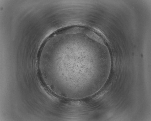 X0000068890439200605122038