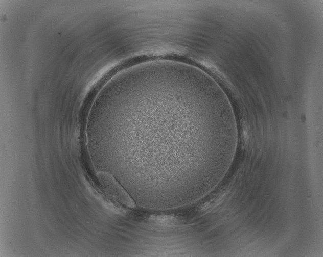 X0000068890440200605122038