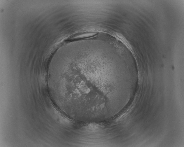 X0000068890441200605122038