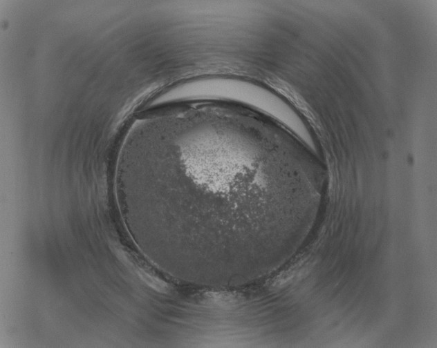 X0000068890442200605122038