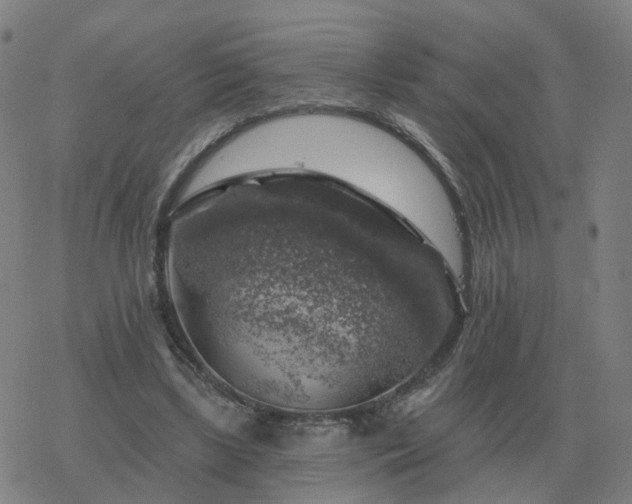 X0000068890443200605122038